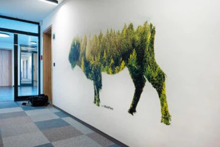 wall printing effect wall printing effect