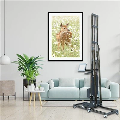 Imprimante à jet d'encre murale UV verticale TPP1000 3D avec rail